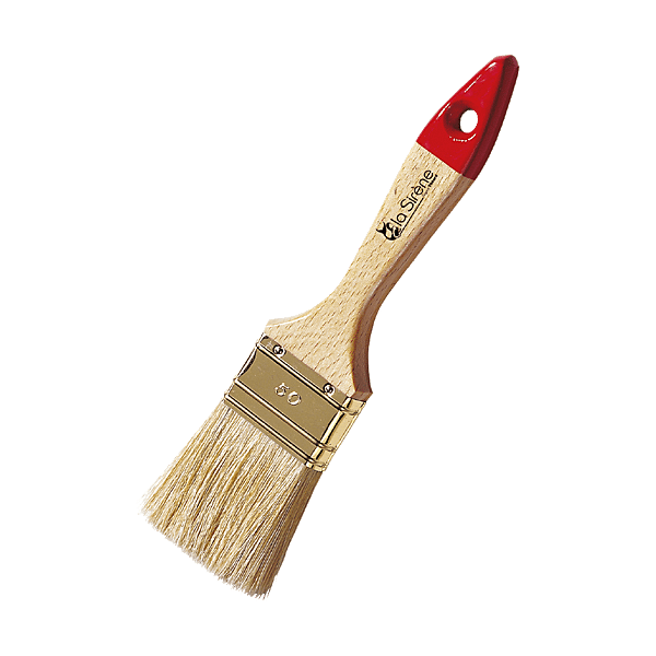 Lot de 5 pinceaux queue de morue photo du produit visuel_1 2XL