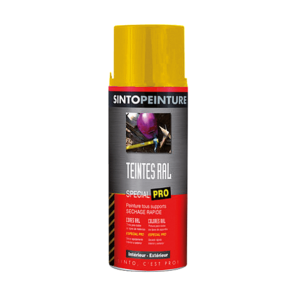 Peinture aérosol photo du produit visuel_1 2XL