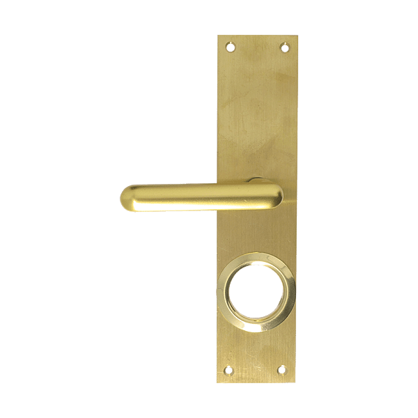 Poignée sur plaque porte à béquille seule photo du produit visuel_1 2XL