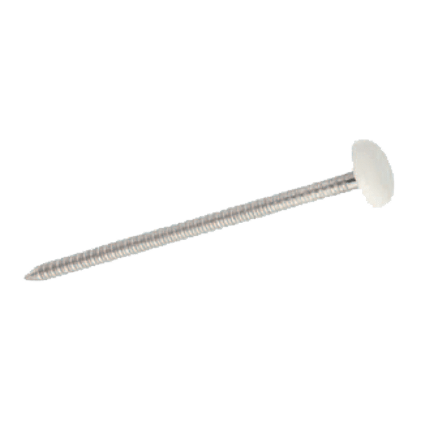 Pointe tête bombée photo du produit visuel_1 2XL