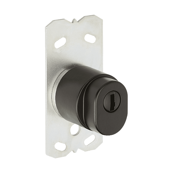 Protecteur de cylindre pour serrure Bigsur Evo photo du produit visuel_1 2XL