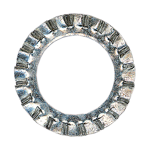 Rondelle éventail acier zingué blanc photo du produit visuel_1 2XL