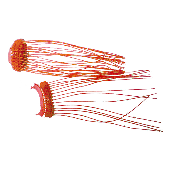 Scellés photo du produit visuel_1 2XL