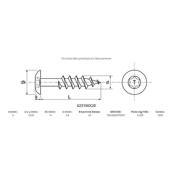 Vis de penture tête ronde large Torx inox A2 photo du produit visuel_1 2XL