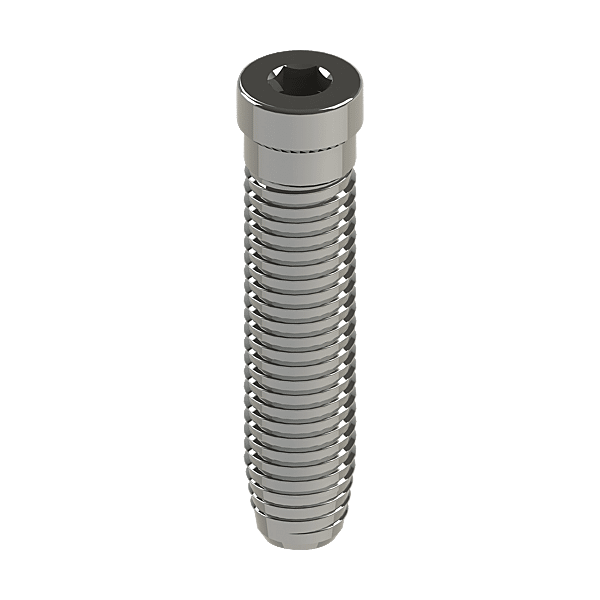 Vis direct pour paumelle Domina Classic photo du produit visuel_1 2XL