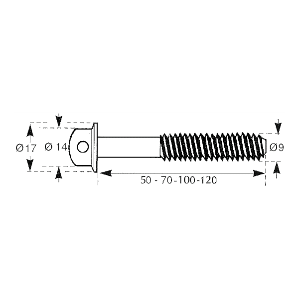 Vis tête romaine acier brut percée 4 trous photo du produit visuel_1 2XL