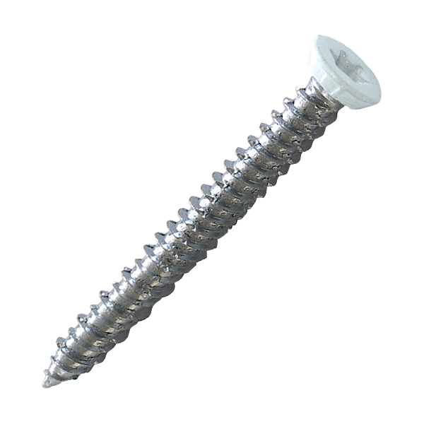 Vis traversante tête fraisée Torx acier zingué laquée blanc photo du produit visuel_1 2XL