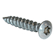 visuel1 Vis de poteau tête fraisée bombée Torx inox A1