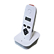 visuel5 Kit interphone visiophone DECT705