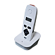 visuel3 Kit interphone audio DECT 603