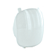 visuel1 Lentille standard