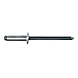 visuel1 Rivet aveugle standard tête plate