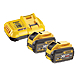 visuel1 Pack batterie et chargeur DCB118Y2-QW