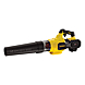 visuel1 Souffleur DCMBA572N-XJ
