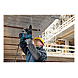 visuel2 Perforateur burineur SDS + GBH 3/28 DFR