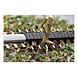 visuel2 Taille haie GHE 18V-60 Professional