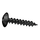 visuel1 Vis de penture tête ronde large Involtur noire