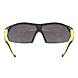 visuel3 Paire de lunettes teintées I-5