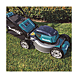 visuel2 Tondeuse DLM462Z