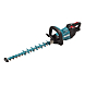 visuel1 Taille-haie DUH502Z