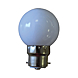 visuel2 Ampoule globe LED B22