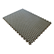 visuel1 Plaque stabilisatrice Alveplac pour gravier 