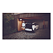 visuel6 Projecteur LED AL1050 - Brennenstuhl