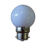 Ampoule globe LED B22 photo du produit visuel_2 S