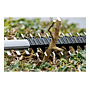 Taille haie GHE 18V-60 Professional photo du produit visuel_2 S